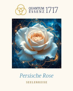 LICHTSIGNATUR – Persische Rose
