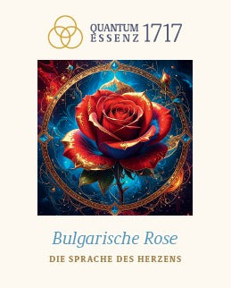LICHTSIGNATUR – Bulgarische Rose