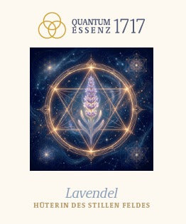 LICHTSIGNATUR – Lavendel